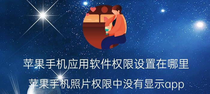 苹果手机应用软件权限设置在哪里 苹果手机照片权限中没有显示app？